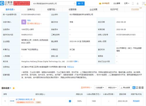 軟件外包服務 高效、靈活與創(chuàng)新的技術合作伙伴