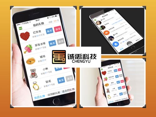 漳州軟件外包與APP開發(fā) 聚焦IM即時通訊應用的專業(yè)服務